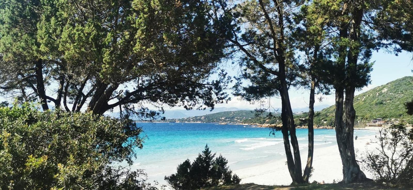 Studio Avec Terasse Vue Mer Портисио Екстериор снимка